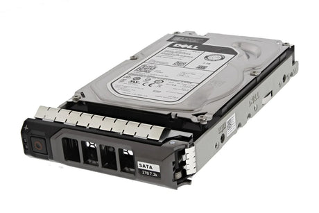 Dell 2TB 3.5" SATA 6GB 7.2K 128MB HDD Server Hard Drive in 13th Gen Caddy W8FW5