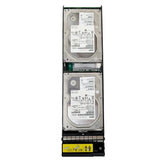 NetApp X381A-R6 20TB (2x10TB) 7.2K SATA 6G 3.5" Tandem Hot Plug HDD SP-483A-R6