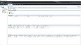 Dell Compellent SCv3020 Storage Array 2x iSCSI Controller 30-Bay 7x 900GB HDD